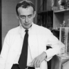 James D. Watson