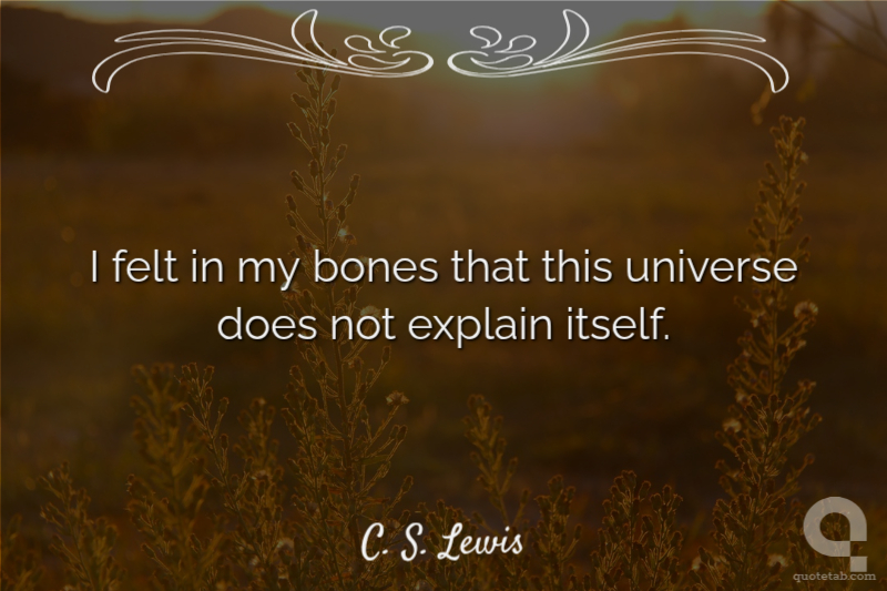 I felt in my bones that this universe does not explain itself.